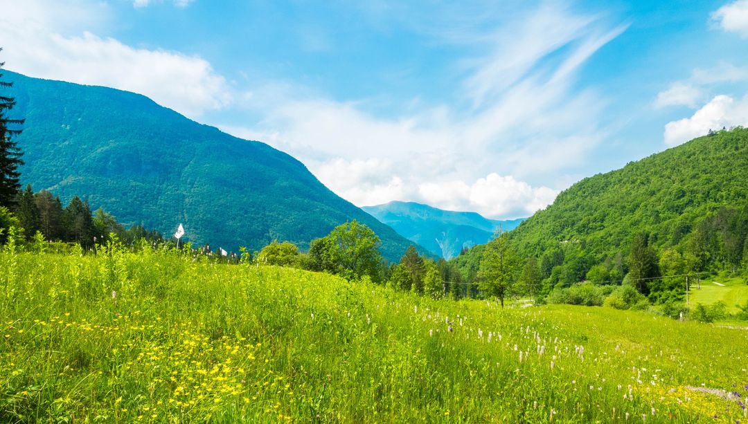 Climatisation et Écologie : Peut-on être au frais sans culpabiliser ?